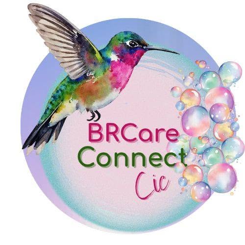 brcare-connect-cic-log.jpg